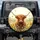 Highland Cow Wildflower Meadow - Farmhouse Home Decor Gift for Cow Lover Spare Tire Cover - 1