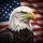 Bald Eagle American Flag Independence Day Gift for Veterans Spare Tire Cover - 6