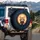 Dramatically Torn Material Wide-Eyed Orange Tabby Cat Blue Eyes - Vehicle Decor Gift Spare Tire Cover - 3