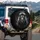Male Lion Piercing Gaze Powerful Mane Dark Habitat Black Background - Wildlife Lover Gift Spare Tire Cover - 3