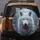 White Wolf Ice-Blue Eyes Red Rose Snow-Dusted Branches - Winter Wildlife Lover Gift Spare Tire Cover - 5