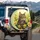 Majestic Brown Tabby Cat Daffodil Garden - Spring Garden Decor Cat Lover Gift Spare Tire Cover - 3