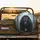Black Bear Evergreen Forest Roots Autumn Wilderness - Wildlife Lover Gift Spare Tire Cover - 2