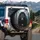 Black Bear Evergreen Forest Roots Autumn Wilderness - Wildlife Lover Gift Spare Tire Cover - 3