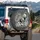 Skeleton Cat Bold Stripe Tail - Gothic Bone Home Decor for Cat Lover Spare Tire Cover - 3