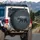 Grizzly Bear Pine Forest Wood Grain - Wildlife Lover Gift for Bear Lover Spare Tire Cover - 3