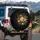 Scallop Shell Starfish Gold Coral Seaweed - Vehicle Decor Gift for Ocean Lover Spare Tire Cover - 3