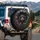 Dachshund Puppy Dark Den Wood Cracks - Dog Lover Gift Spare Tire Cover - 3