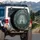 Tree of Life Celtic Knot Forest - Spiritual Lifestyle Gift Spare Tire Cover - 3