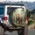 Majestic Brown Grizzly Bear Pine Fir Forest Wilderness Scene - Wildlife Lover Gift Spare Tire Cover - 3