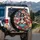 Tri-color Chihuahua Wildflower American Flag - Independence Day Gift for Dog Lovers Spare Tire Cover - 3