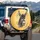 Bewildered Grumpy Donkey - Farmhouse Home Decor Gift for Donkey Lover Spare Tire Cover - 3