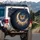 Monarch Butterfly Golden Moon Wildflowers - Nature Lover Gift Spare Tire Cover - 3