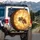 Honey Bee Golden Bokeh Sunlit Pollen - Wildlife Lover Gift Spare Tire Cover - 3