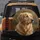 Golden Retriever Autumn Foliage Outdoor Scene - Dog Lover Gift Spare Tire Cover - 5