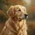 Golden Retriever Autumn Foliage Outdoor Scene - Dog Lover Gift Spare Tire Cover - 6