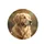 Golden Retriever Autumn Foliage Outdoor Scene - Dog Lover Gift Spare Tire Cover - 4