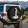 Black White Spaniel Dog Red Feather - Dog Lover Home Decor Gift Spare Tire Cover - 3