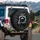 Confident Raccoon Crossed Arms Black Mask White Grey Fur Forest - Wildlife Lover Gift Spare Tire Cover - 3