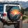 Tropical Blue Iguana Fiery Sunset Ocean Palm Scene - Wildlife Lover Gift Spare Tire Cover - 3