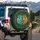 Dragon Scrollwork Foliage - Fantasy Lover Gift for Dragon Fan Spare Tire Cover - 3
