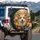 Corgi Face Wildflower Garden Cosmos Daisy - Home Decor Gift for Dog Lover Spare Tire Cover - 3