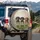 Three Dachshund Dogs Peeking Over Rustic Wooden Fence - Dog Lover Home Decor Gift Spare Tire Cover - 3