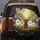 Fluffy Dogs Tree Branch Forest - Dog Lover Car Accessory Gift Spare Tire Cover - 5