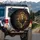 Regal Golden-Bronze Lion with Flowing Mane - Wildlife Lover Gift for Big Cat Lover Spare Tire Cover - 3