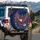 Majestic Bald Eagle Floral Leaves Tendrils Hearts Stars - Nature Lover Gift Spare Tire Cover - 3