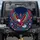 Majestic Bald Eagle Floral Leaves Tendrils Hearts Stars - Nature Lover Gift Spare Tire Cover - 1