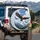 Bald Eagle Mountain Range Flight - Wildlife Lover Gift for Eagle Lover Spare Tire Cover - 3