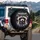 Baby Raccoon Silver Crown Purple Bow Tie YOU Cosmic Star Dust - Wildlife Lover Gift Spare Tire Cover - 3