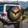 Bald Eagle American Flag Pine Forest - Independence Day Gift for Veterans Spare Tire Cover - 3