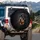 Rottweiler Puppy Head Tilt Black Tan Fur Deep Black Background - Pet Owner Gift Spare Tire Cover - 3