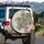 Three Polynesian Tribal Sea Turtles Palm Fronds Geometric - Ocean Lover Gift Spare Tire Cover - 3