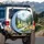 Chamois-like Grazing Animals Alpine River Green Valley - Outdoor Adventure Gift Spare Tire Cover - 3