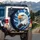 Bald Eagle Head Blue Eyes Orange Beak Swirling Clouds - Wildlife Lover Gift Spare Tire Cover - 3