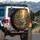 Grey Wolf Pack Wildflower Forest - Wildlife Lover Gift Spare Tire Cover - 3