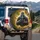 Silverback Gorilla DSLR Camera Jungle - Wildlife Photography Gift for Photographer Spare Tire Cover - 3