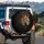Majestic Crowned Lion Head Profile Luxurious Mane Dark Field - Wildlife Lover Gift Spare Tire Cover - 3