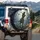 Tyrannosaurus Rex Juvenile Pterodactyls Glowing Jungle Scene - Dinosaur Fan Gift Spare Tire Cover - 3