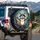 Friendly Cartoon Raccoon Forest Night Moonlight - Wildlife Lover Gift for Raccoon Lover Spare Tire Cover - 3