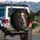 Brown Spotted Dog Portrait Expressive Blue-Green Eyes - Dog Lover Gift Spare Tire Cover - 3