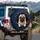Fawn Pug Expressive Eyes Wrinkled Face Torn Denim Fabric Rips - Dog Lover Home Decor Gift Spare Tire Cover - 3