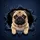 Fawn Pug Expressive Eyes Wrinkled Face Torn Denim Fabric Rips - Dog Lover Home Decor Gift Spare Tire Cover - 6