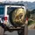 Majestic Roaring Sabertooth Tiger Lush Prehistoric Jungle - Wildlife Lover Gift Spare Tire Cover - 3