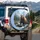 Majestic Grizzly Bear Mountain Scene - Wildlife Lover Gift Spare Tire Cover - 3