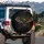 Brown Bat Gnarled Pentagram Thorny Vines - Nature Lover Home Decor Gift Spare Tire Cover - 3