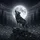 Gray Wolf Howling Rock Pine Trees - Full Moon Night Sky Wilderness Wildlife Lover Gift Spare Tire Cover - 6
